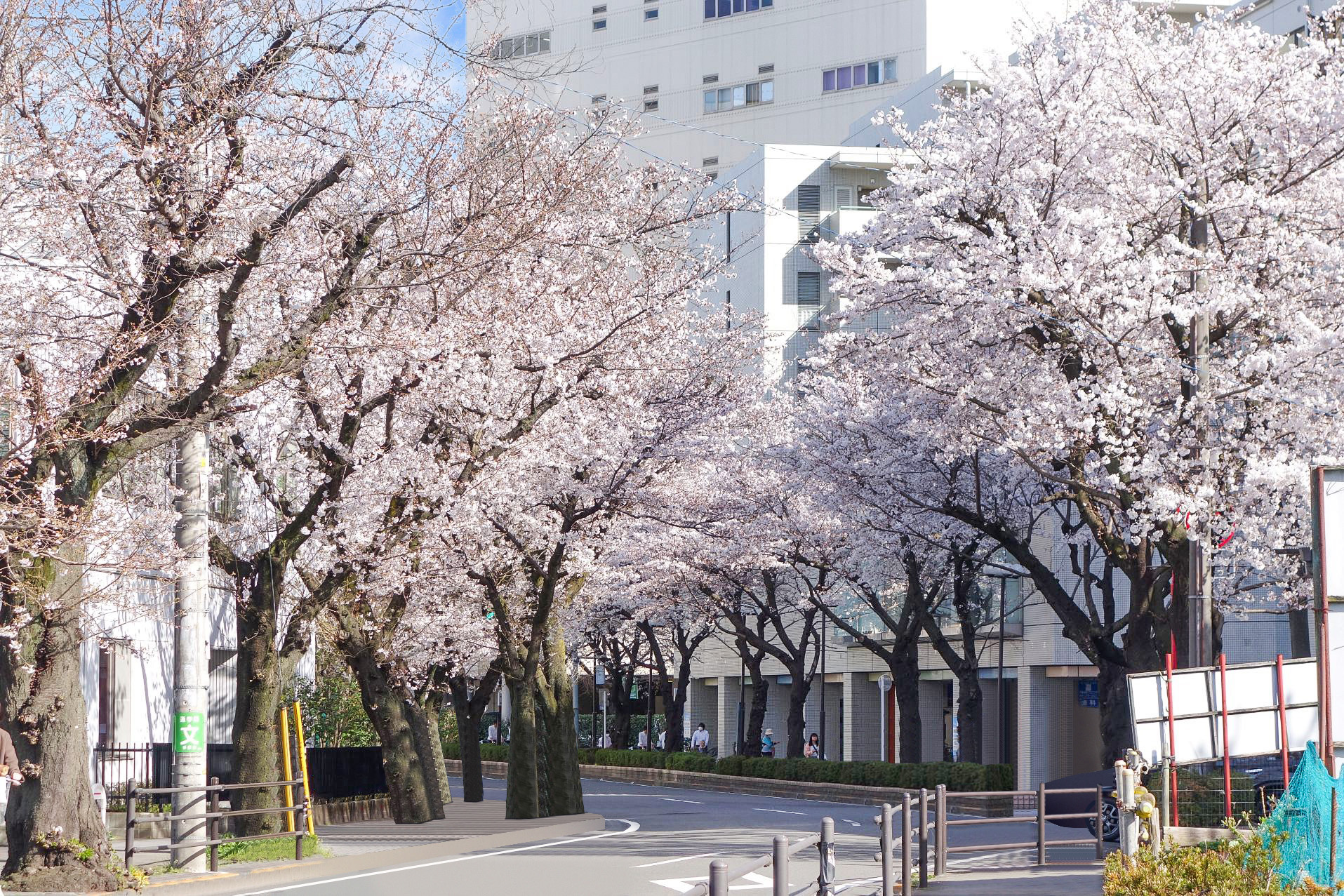 物件写真 (3)