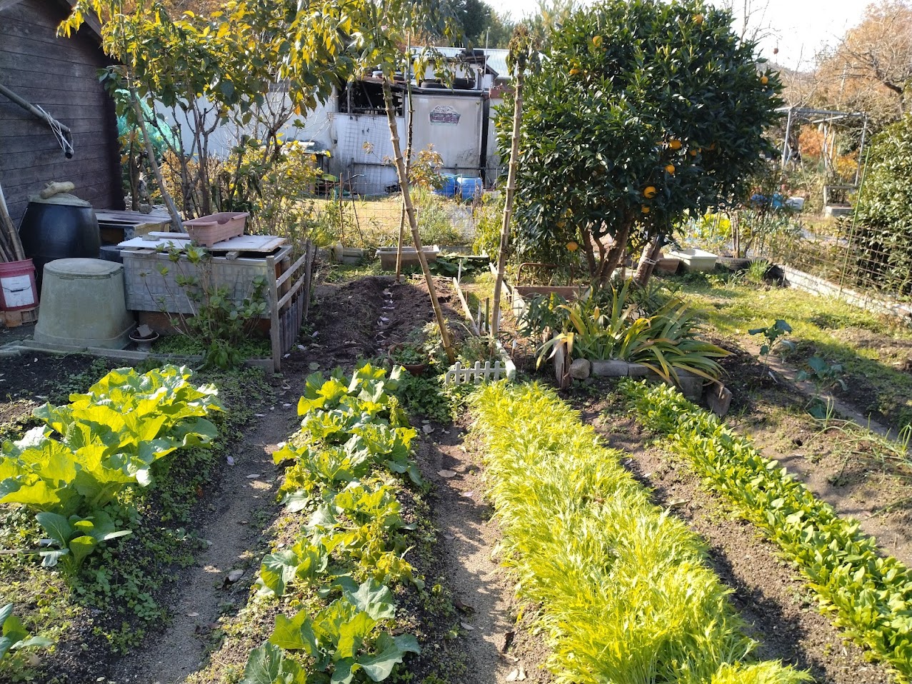 物件写真 (1)